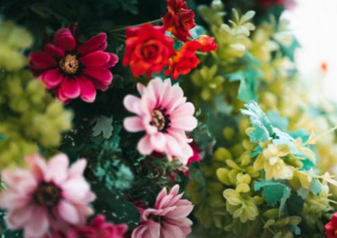 Gör-det-själv röda hybridte Rose Buketter: Höj ditt hem med eleganta blomsterarrangemang